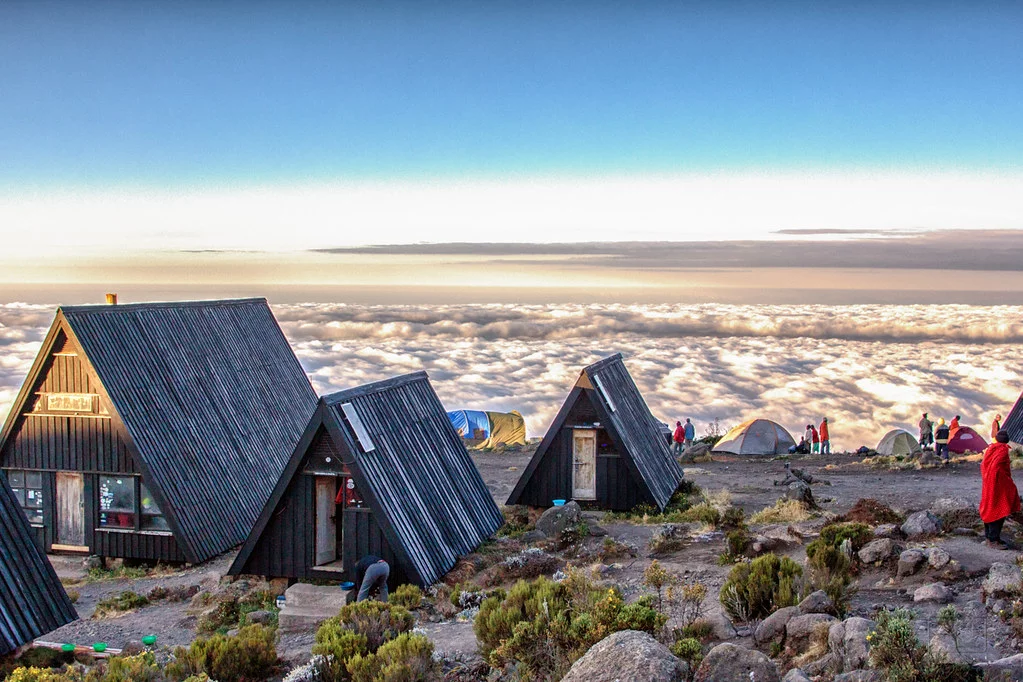 Mandara Hut Hike To Horombo Hut