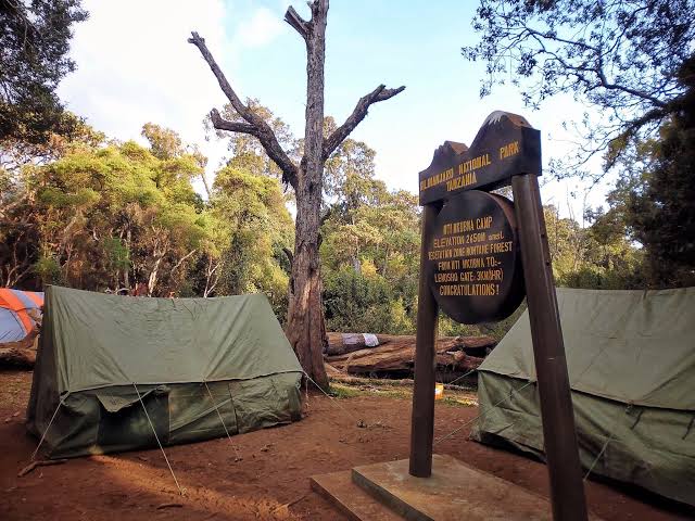 Mti Mkubwa Camp - Mount Kilimanjaro