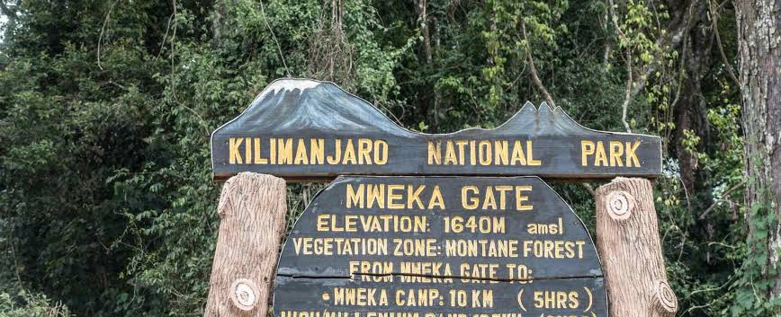 Mweka Camp to Mweka Gate and Return to Arusha or Moshi