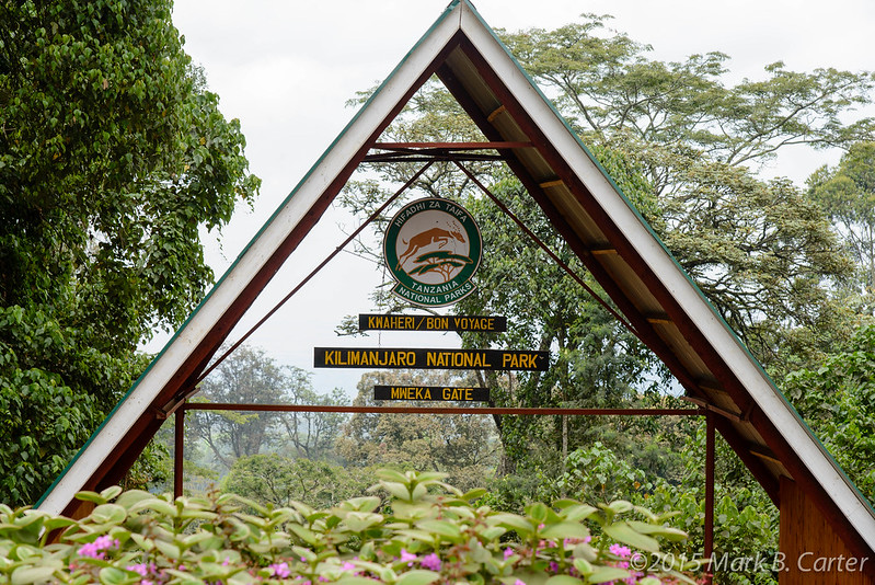 Mweka Camp to Mweka Gate | Elevation: 3,100m to 1,640m