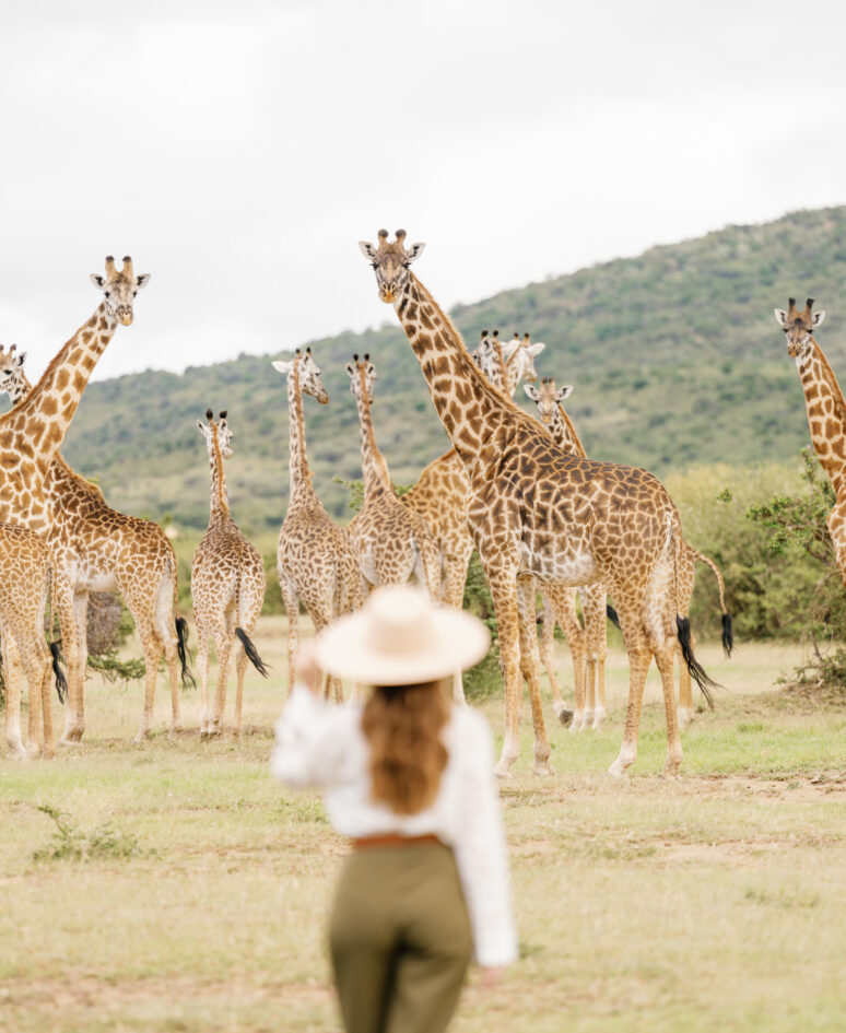 4 Days Masai Mara Safari Experience