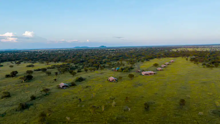 Escarpment Luxury Camp Serengeti