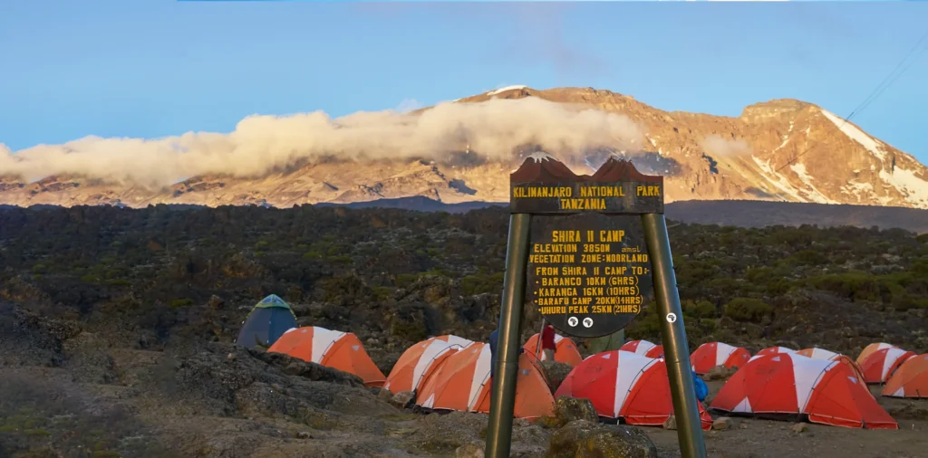 Mti Mkubwa Camp to Shira Camp 2