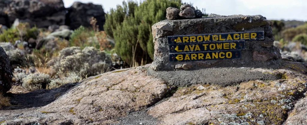 Shira Camp 2 to Lava Tower to Barranco Camp