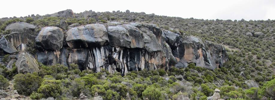 Zebra Rocks Kilimanjaro