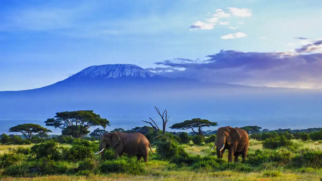 Amboseli Sopa Lodge - Amboseli National Park