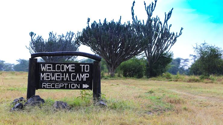 Mbweha Camp — Lake Nakuru National Park