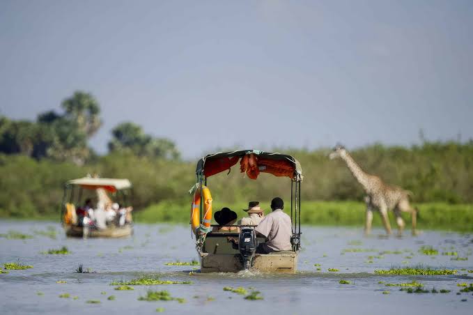 Nyerere National Park Safaris, Tours & Wildlife