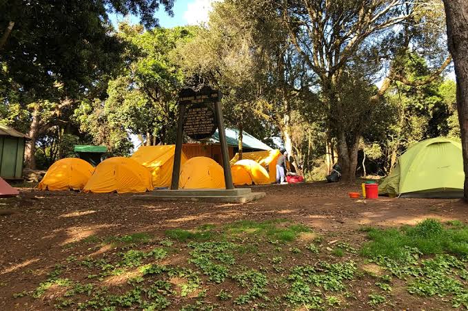 Mti Mkubwa Camp to Shira 2 Camp | Elevation: 2,650m to 3,850m