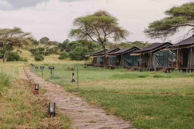 Kenzan Mara Tented Camp — Kogatende - Northern Serengeti