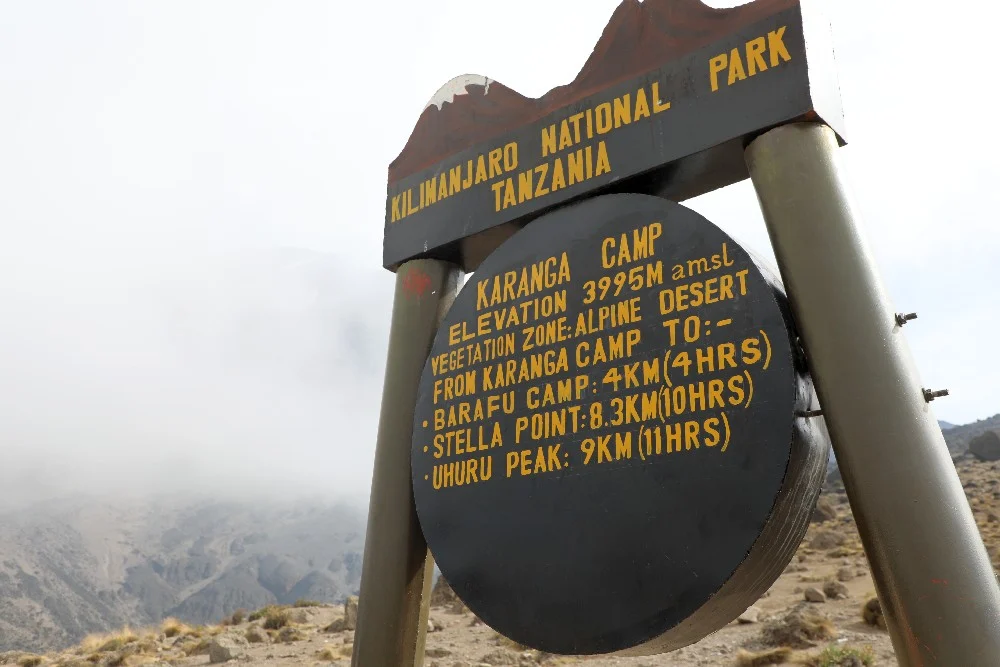 Barranco Camp to Karanga Camp | Elevation: 3,900m to 3,960m