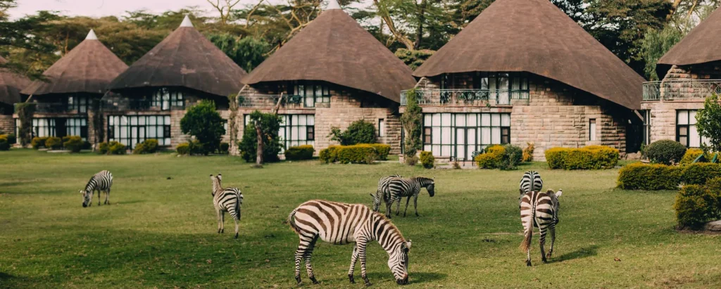 Naivasha Sopa Lodge — Stay At Lake Naivasha