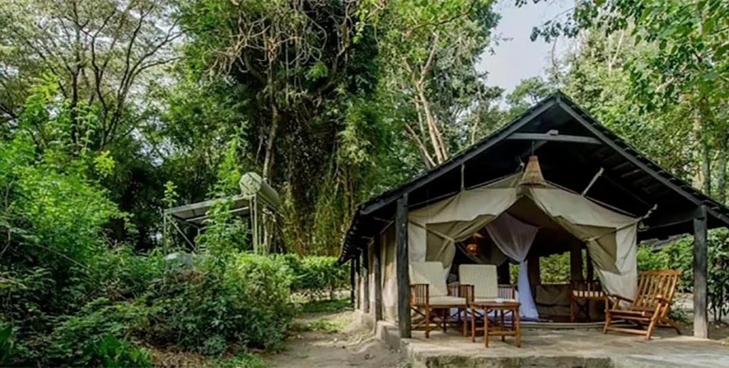 Sarova Mara Game Camp - Safari Lodge In Kenya