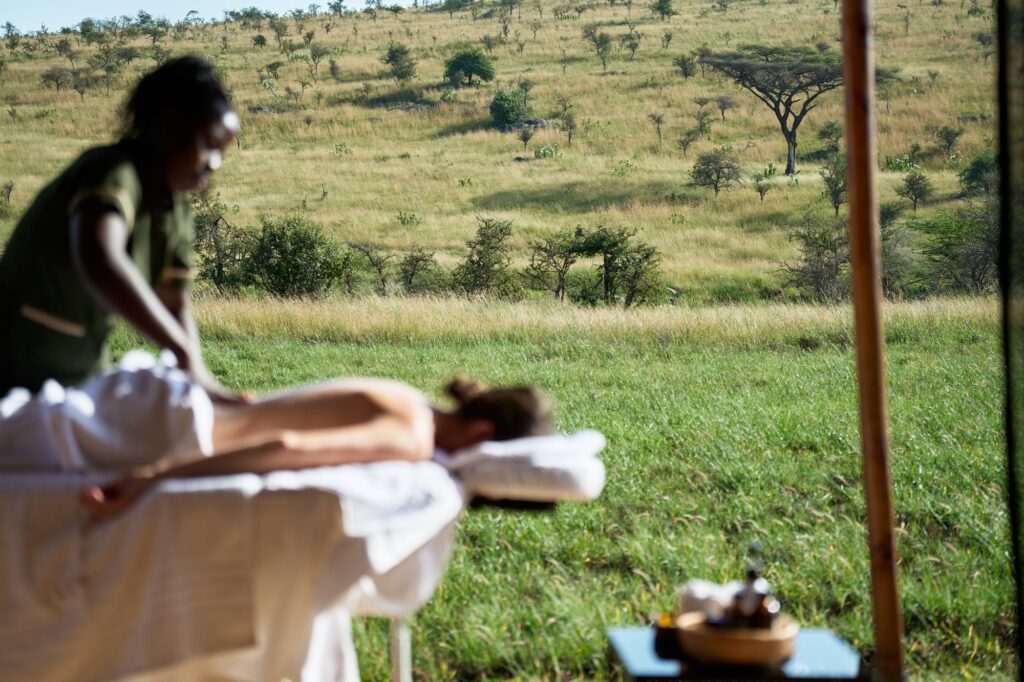 Elephants Lair Camp Tarangire