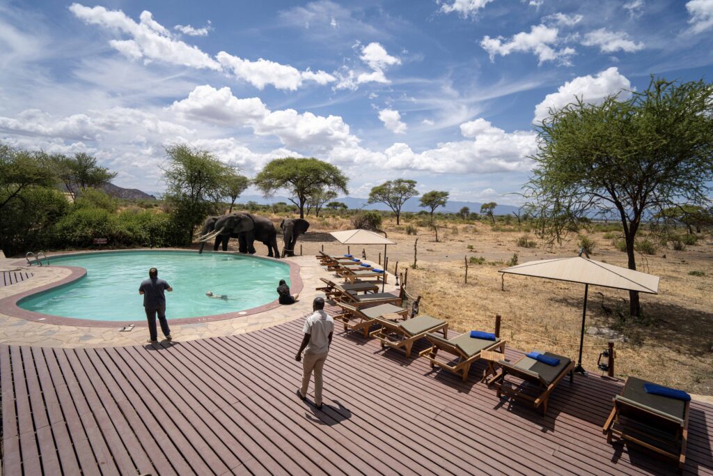 Tarangire Simba Lodge - Tanzania Safari Experience