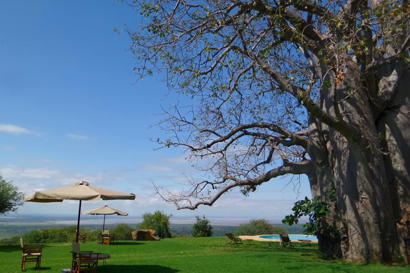 Migombani Campsite (Mto wa Mbu)