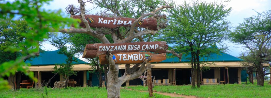 Tanzania Safari for Chinese Travelers Central Serengeti – Tanzania Bush Camps
