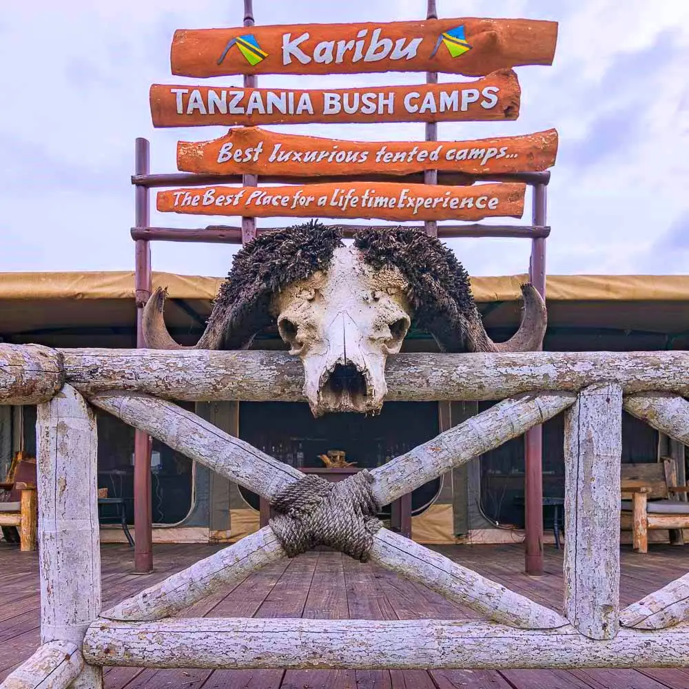 Central Serengeti – Tanzania Bush Camps