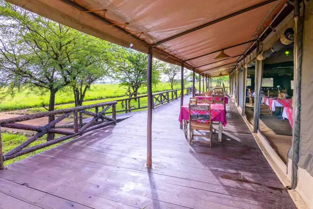 Central Serengeti – Tanzania Bush Camps