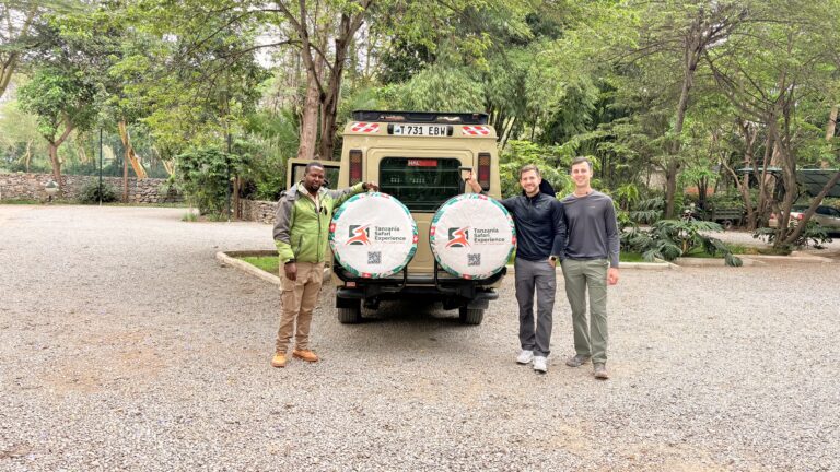 Tanzania Safari in February: Calving Season, Weather, Wildlife & Best Parks to Visit