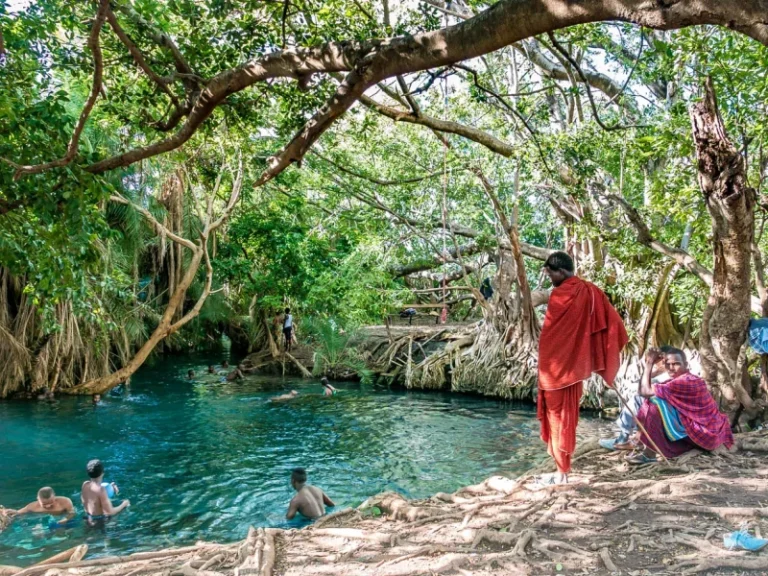 Rundugai Hot Springs (Kikuletwa) Day Trip