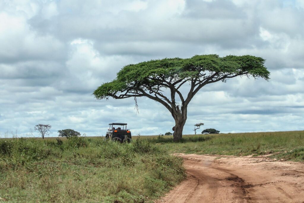 Serengeti Game Drive and Return to Karatu