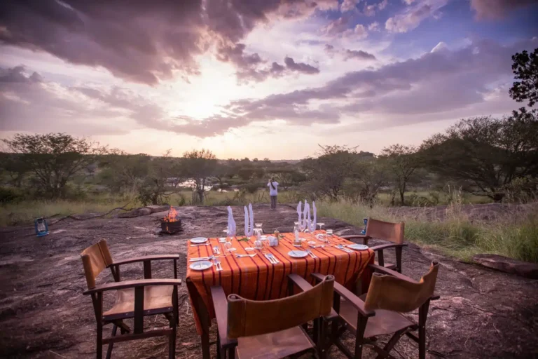 Bush Dinner in the Serengeti