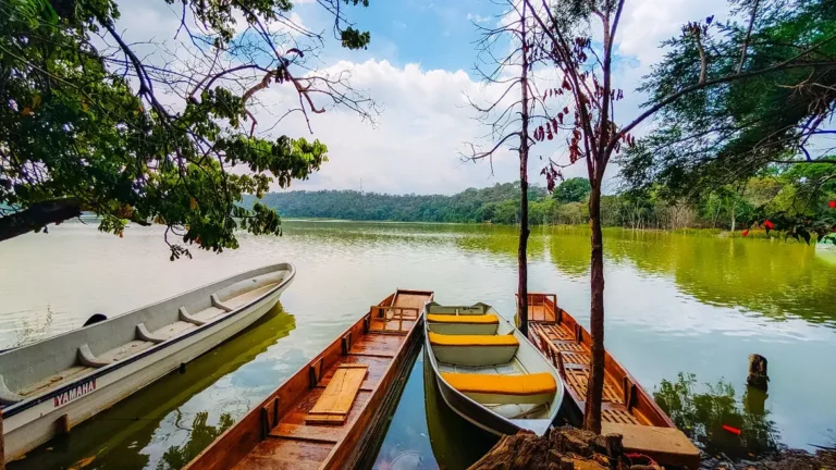 Canoeing on Lake Duluti - Arusha