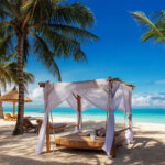 Tanzania Safari and Zanzibar Holiday