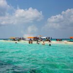 Which Safari Should You Choose from Zanzibar?