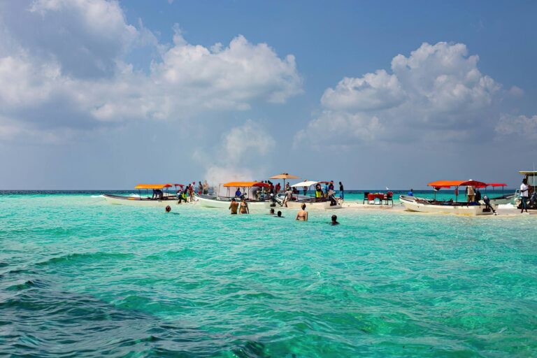 Which Safari Should You Choose from Zanzibar?