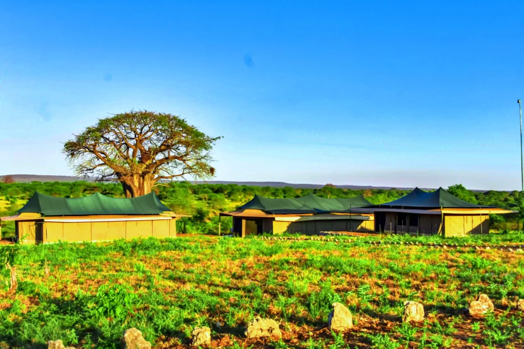 Korongo Luxury Camp - Tarangire National Park