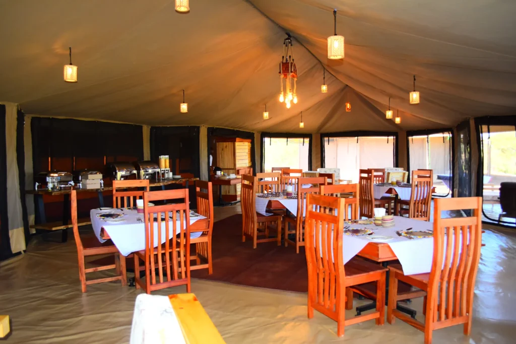 Korongo Luxury Camp - Tarangire National Park