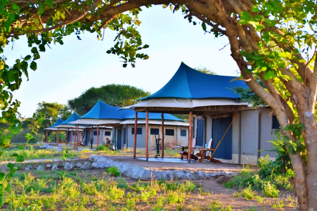 Korongo Luxury Camp - Tarangire National Park