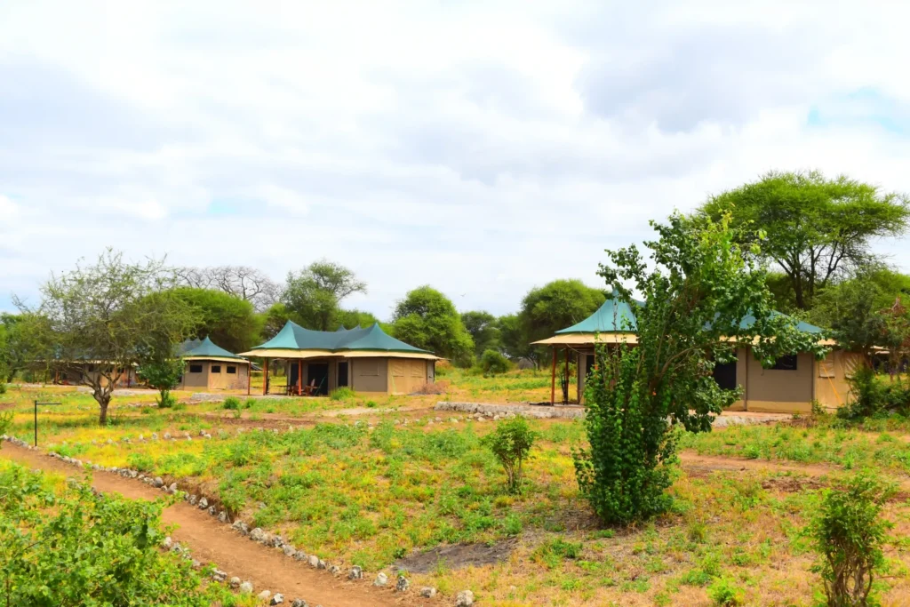 Korongo Luxury Camp - Tarangire National Park
