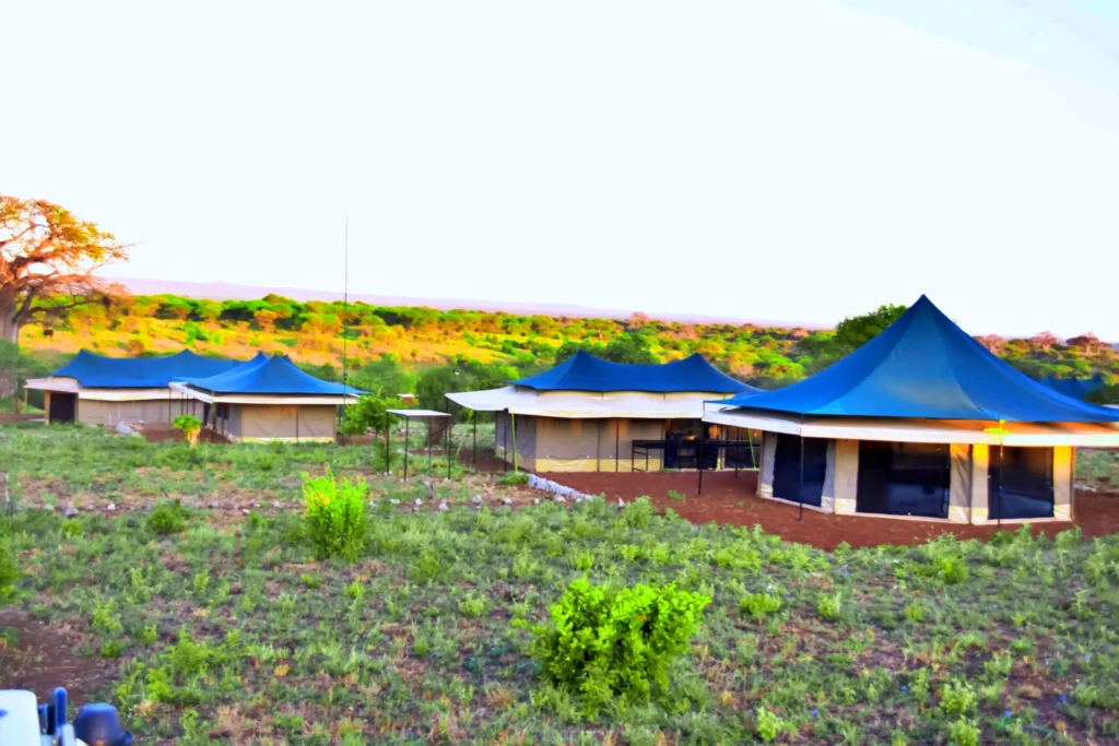 Korongo Luxury Camp - Tarangire National Park