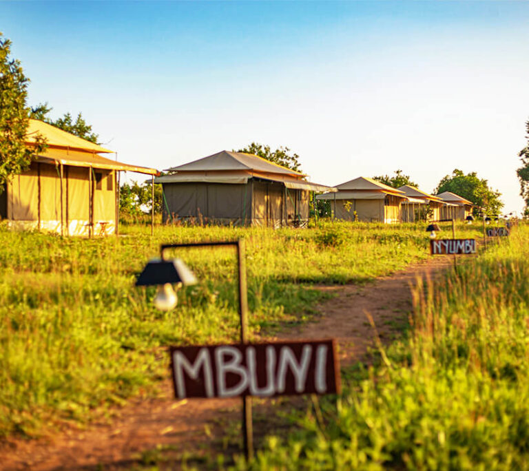 Sero Tented Camps - Ndutu