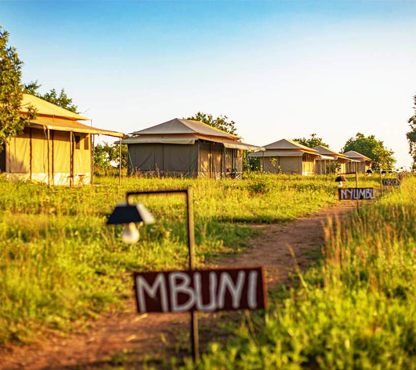 Sero Tented Camps - Ndutu