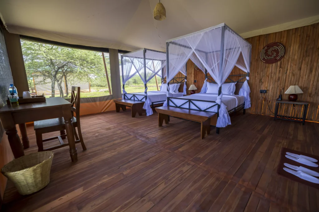 Safari Haven Migration Camp - Ndutu