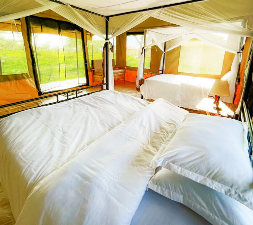 Sero Tented Camps - Ndutu