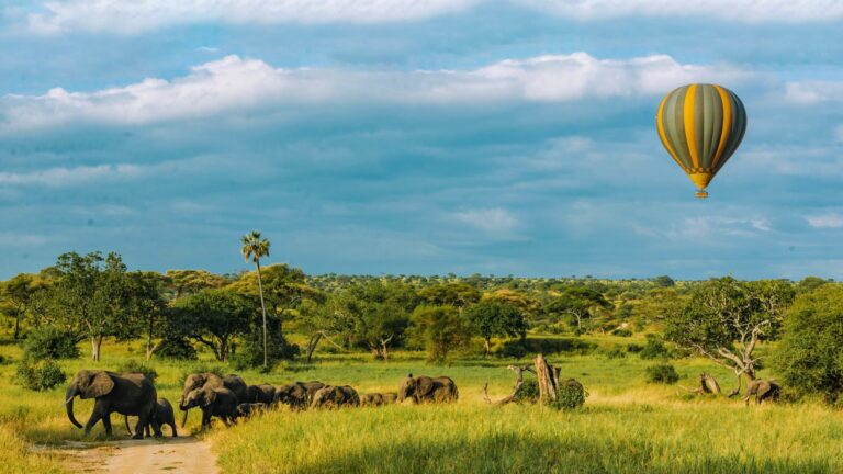 Hot air balloon flight in Tarangire