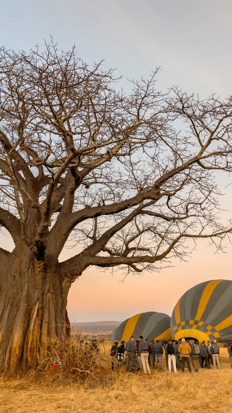 Hot air balloon flight in Tarangire