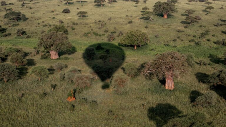 Hot air balloon flight in Tarangire